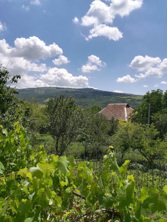 Guest House Luka Manglisi Buitenkant foto